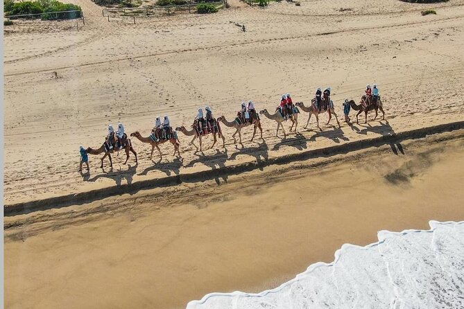 Camel Safari and Gastronomic Experience in Los Cabos - Weather, cancellations, and practical planning