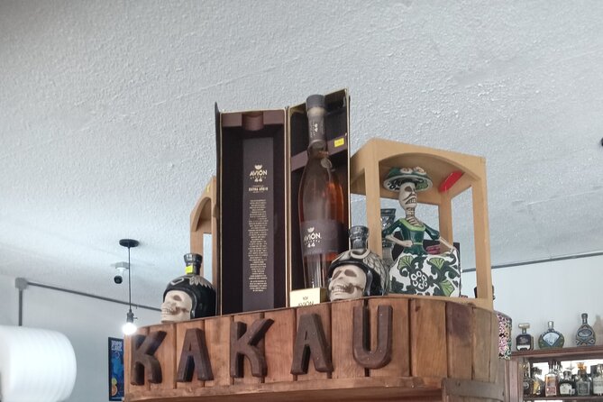 City Tour Todos Santos and Tequila Tasting - Who should book this tour