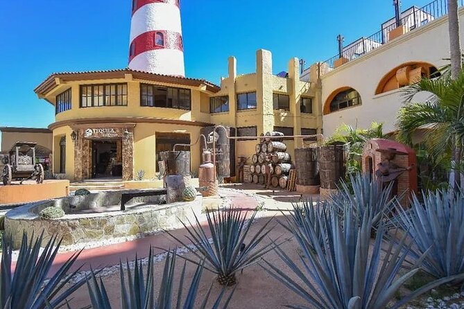 CityTour to San Jose, Cabo San Lucas and Arch Tour in Clearboat - Key points to know before you book