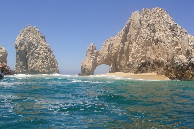 Clear Boat Ride in Los Cabos - Sea lions, rays, and what you might actually see