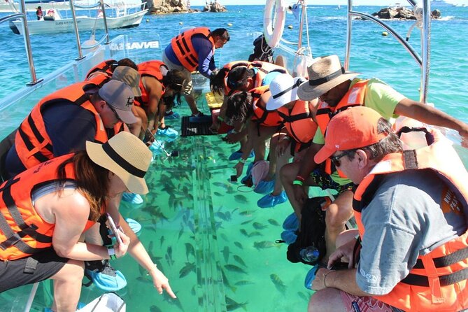 Clear Boat Ride in Los Cabos - From Cabo Marina toward Land’s End