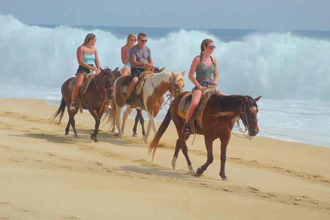 Combined ATV and Horseback Ride/Tequila Tasting - Who should book this Cabo excursion