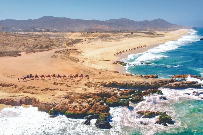 Combo 4x4 Automatic ATV and Camel Ride Tour in Cabo San Lucas - Who should book this, and who should choose another outing?