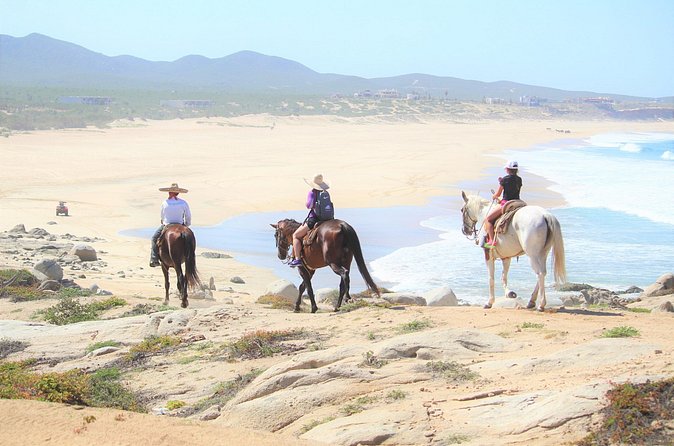 Combo Adventure with RZR and ATV or HBR and Tequila Tasting - Tequila and liqueurs after the ride
