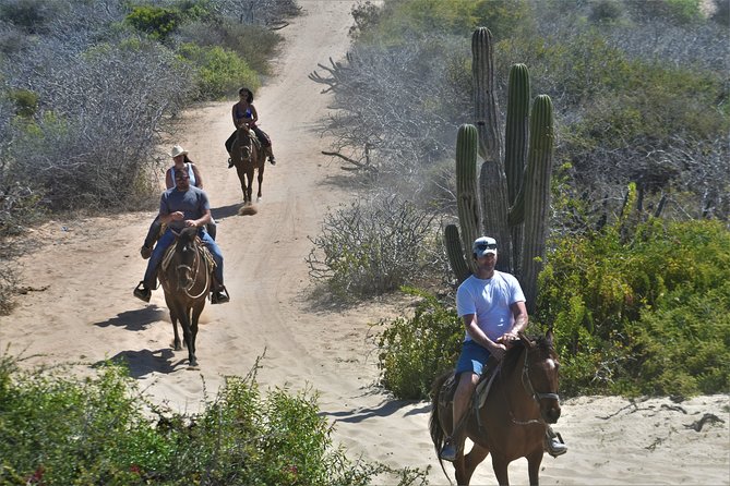 Combo Double Utv + Horses - What the $400 group price really covers