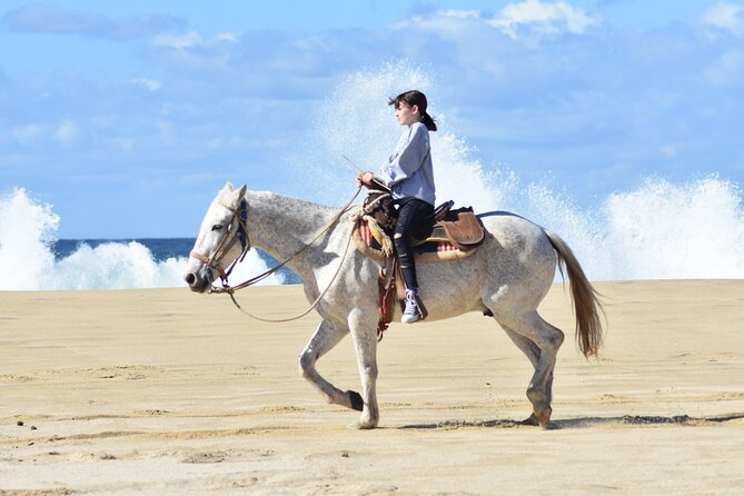Combo Double Utv + Horses - Guides who shape the day