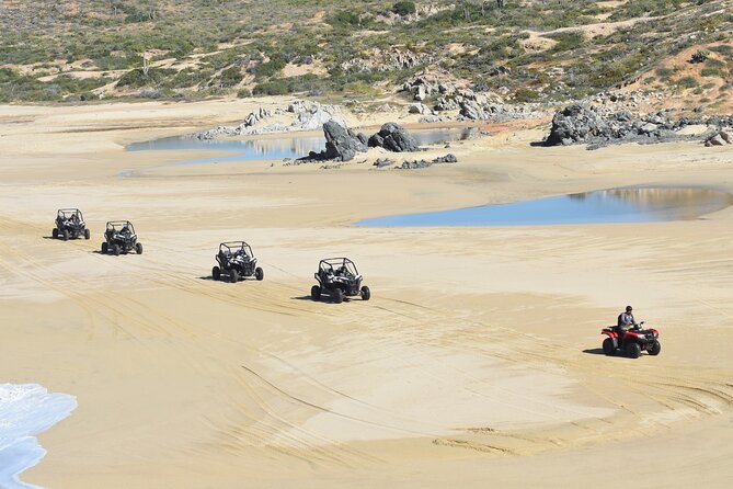 Combo Double Utv + Horses - Who will enjoy this combo most