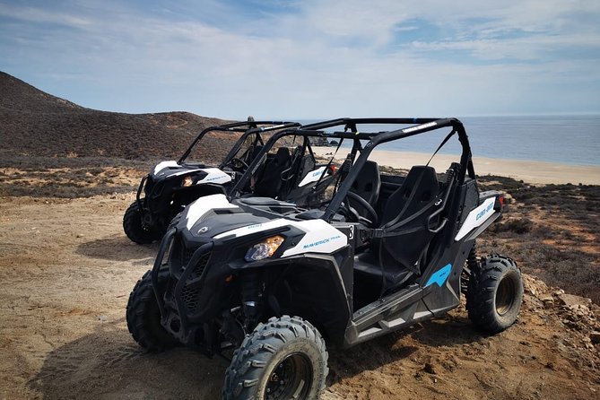 Combo Double Utv + Horses - Timing, weather, and cancellation details