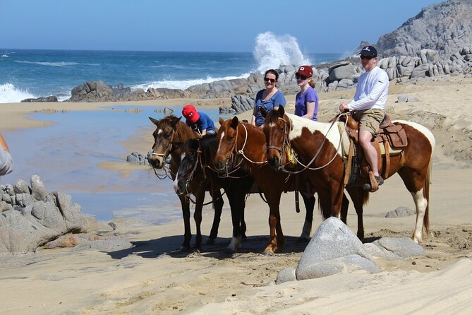 Combo Horseback Beach Ride & ATV Adventure. Tequila Tasting - Who should book this Cabo adventure