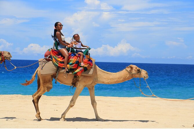 Combo Horseback Ride and Sky Bike in Cabo - The sky bike supplies the real adrenaline