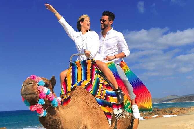 Combo Horseback Ride and Sky Bike in Cabo - The ecological hike adds context