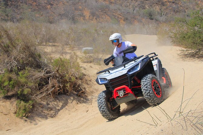 Combo Horseback Ride and Sky Bike in Cabo - What the Cactus Park stop adds