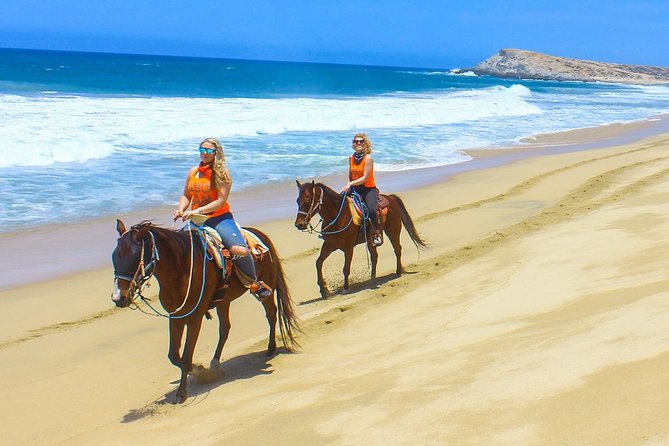 COMBO Horseback Riding & UTV Tour - One Hour Behind the UTV Wheel