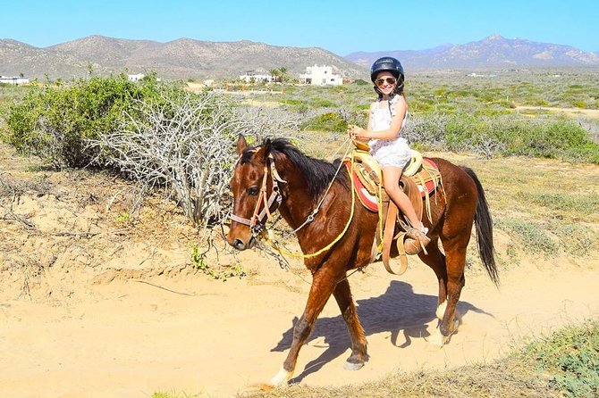 COMBO Horseback Riding & UTV Tour - What the $125 Price Really Covers