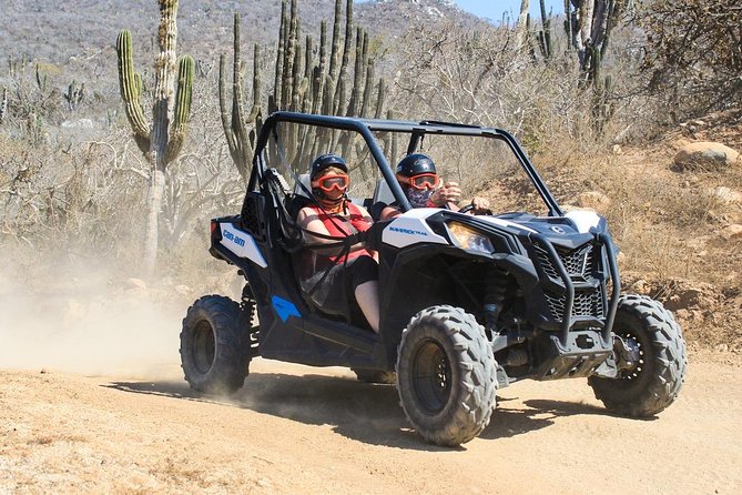 COMBO Horseback Riding & UTV Tour - One Hour on Horseback Along Cabo’s Rough Coastal Ground