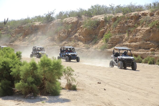 Combo Off Road 4x4 UTV Camel Ride Lunch and Tequila Tasting - Key points at a glance