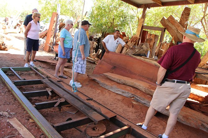 Cultural & Ecology, Nature & History of the hidden towns of Southern Baja! - The freshwater oasis and the ecology lesson