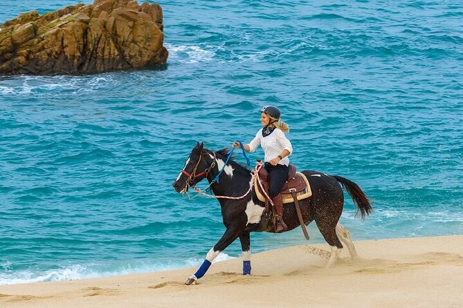 Day Pass Adventure in Los Cabos with Roundtrip Transport - Sky Bikes Above the Desert