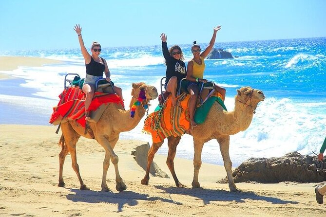 Day Pass Adventure in Los Cabos with Roundtrip Transport - Who Will Enjoy This Park Most