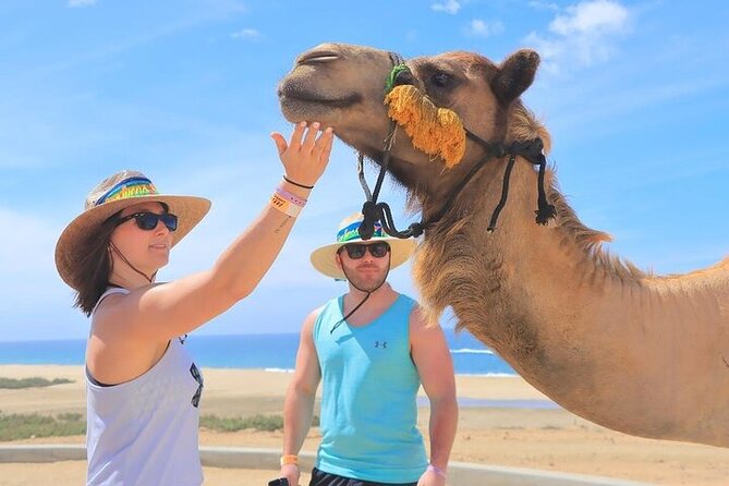 Day Pass Adventure in Los Cabos with Roundtrip Transport - ATV and Dune Buggy Time