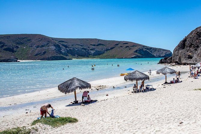 Day Trip to La Paz & Balandra Beach from Cabo San Lucas - A quick look at Todos Santos and Hotel California