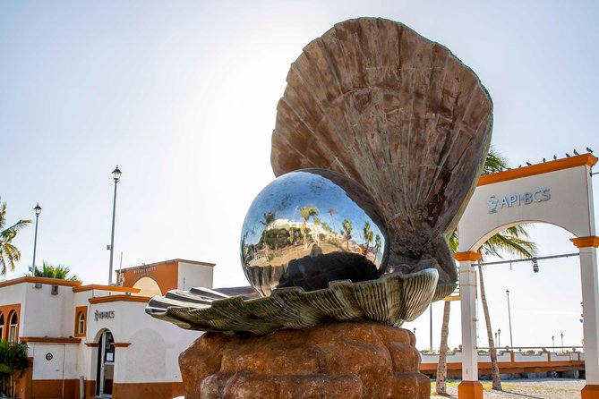 Day Trip to La Paz & Balandra Beach from Cabo San Lucas - Balandra or El Tecolote: the day’s main decision