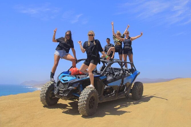 Desert and Beach Buggies Tour - Key points at a glance