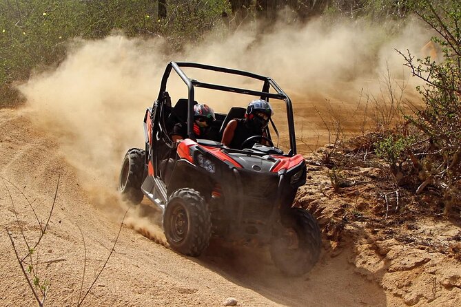 Desert and Beach Buggies Tour - Pickup, meeting point, and the three-hour schedule
