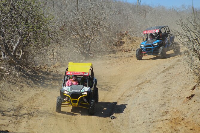 Desert and Beach UTV Adventure with Tequila Tasting - Tequila tasting and the real price