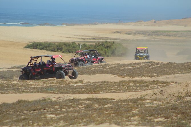 Desert and Beach UTV Adventure with Tequila Tasting - Who will enjoy this Cabo adventure most