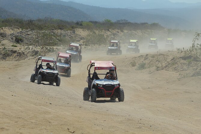Desert and Beach UTV Adventure with Tequila Tasting - Timing, weather, and what to bring