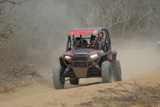 Desert and Beach UTV Adventure with Tequila Tasting - Should you book the Desert and Beach UTV Adventure?