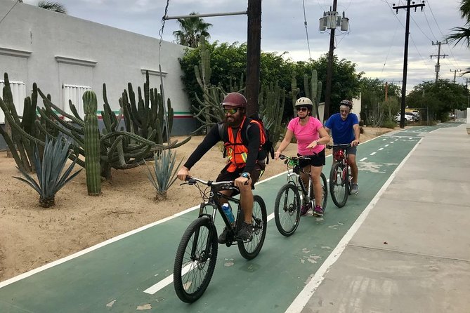Desert Mountain Biking, fun and easy. - Key points at a glance
