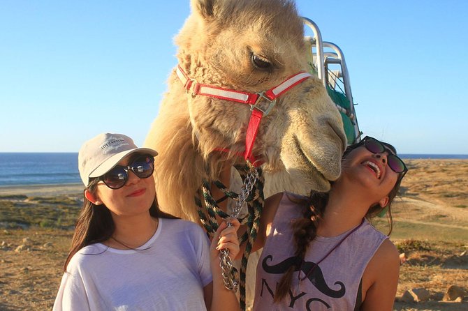 Desert & sea, Camel Safari tour in Los Cabos with lunch - Riding a camel beside the Pacific