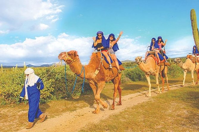 Desert & sea, Camel Safari tour in Los Cabos with lunch - Tequila, mezcal, and Damiana tasting