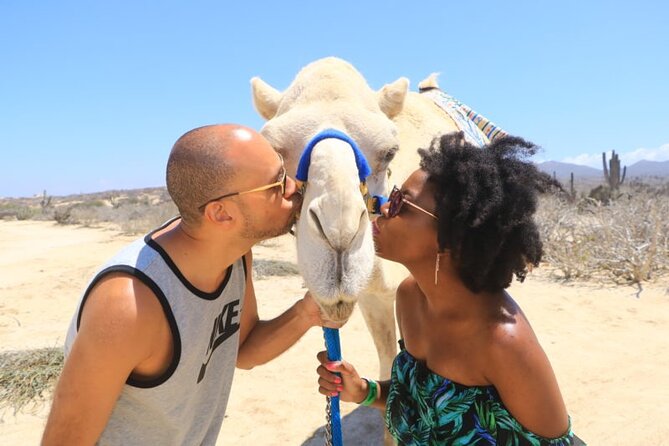 Desert & sea, Camel Safari tour in Los Cabos with lunch - What the five-hour schedule really means
