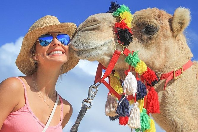 Desert & sea, Camel Safari tour in Los Cabos with lunch - Pickup from Cabo San Lucas and San José del Cabo