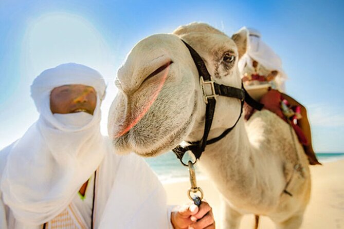 Desert & sea, Camel Safari tour in Los Cabos with lunch - The real price: $133 plus the entrance fee