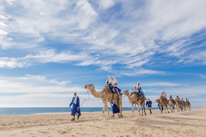 Desert & sea, Camel Safari tour in Los Cabos with lunch - The camel-kissing stop