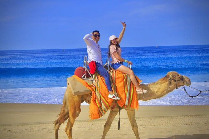 Discover Cabo San Lucas by camel ride - Riding Without Previous Experience