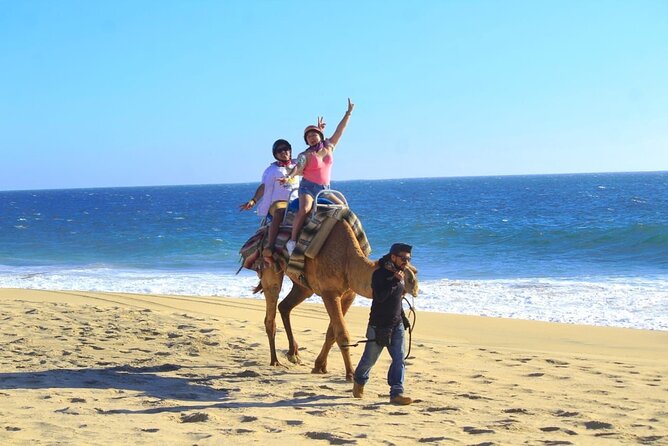 Discover Cabo San Lucas by camel ride - What Is Included in the $165.98 Price