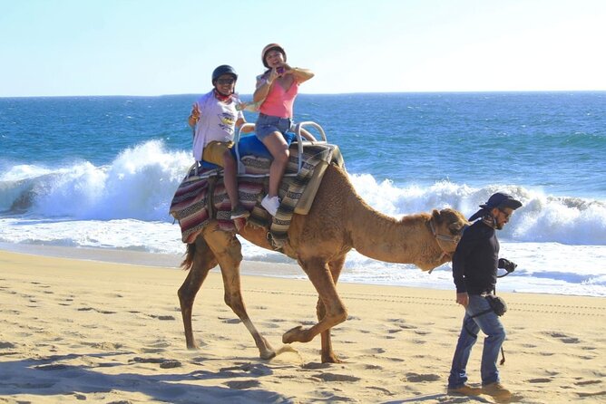 Discover Cabo San Lucas by camel ride - Who Will Enjoy This Cabo Outing