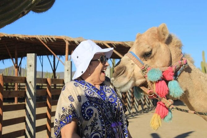 Discover Cabo San Lucas by camel ride - Is the Camel Ride Worth Booking?