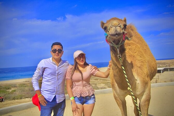Discover Cabo San Lucas by camel ride - Cabo Scenery Instead of a Standard City Tour