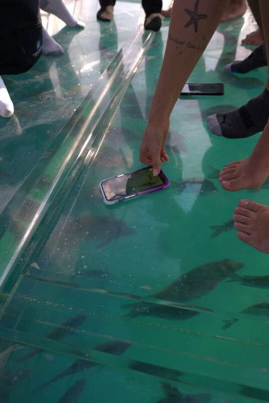 Discover Cabo San Lucas Clear Boat Glass Factory & Tequila - Why this Cabo combination works
