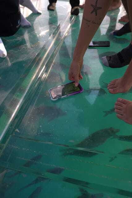 Discover Cabo San Lucas Clear Boat Glass Factory & Tequila - Tequila tasting and the production story