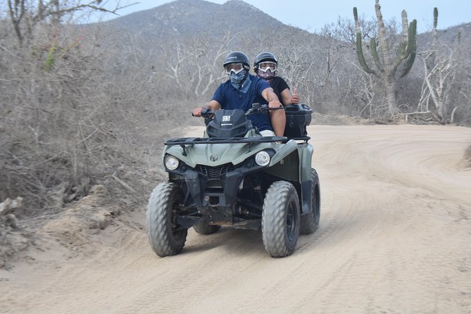 Double ATV Migriño Beach & Desert - Cactus country and Baja wildlife