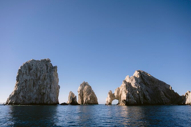 Educational Sunrise Whale Watching with Photos Included - Is the experience good value?