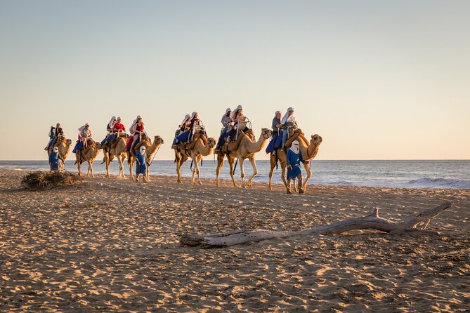 Electric Bike and Beach Camel Ride with Mexican Buffet Lunch - The Pacific coast sets the tone