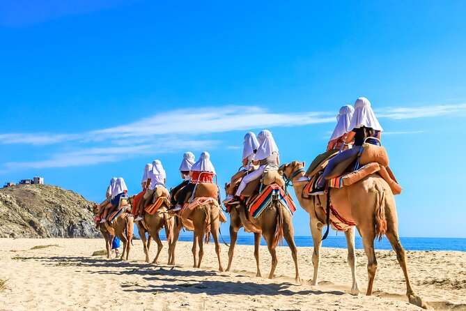 Electric Bike and Beach Camel Ride with Mexican Buffet Lunch - A Mexican buffet after the activity